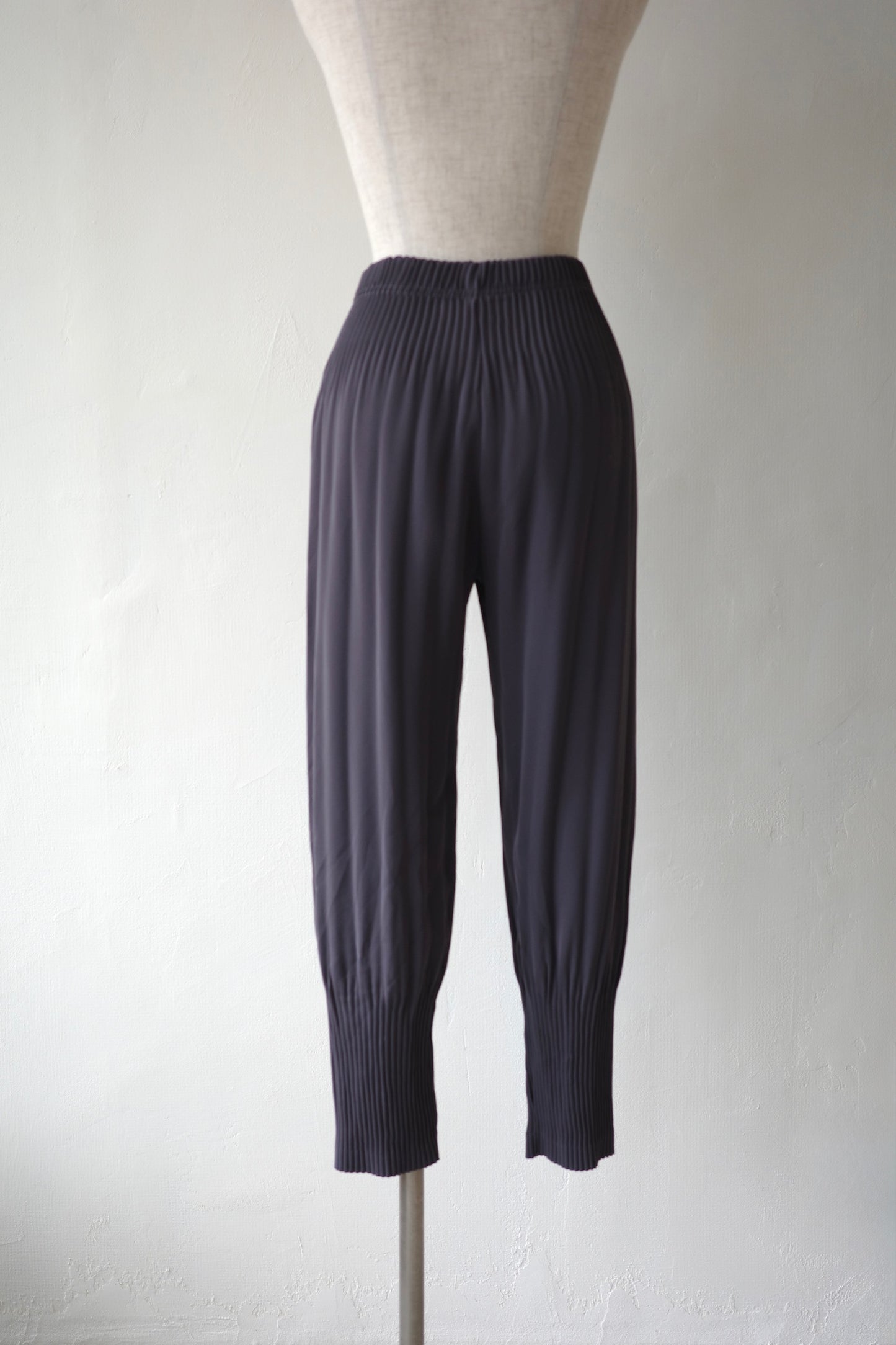 Pleated Tapered Pants