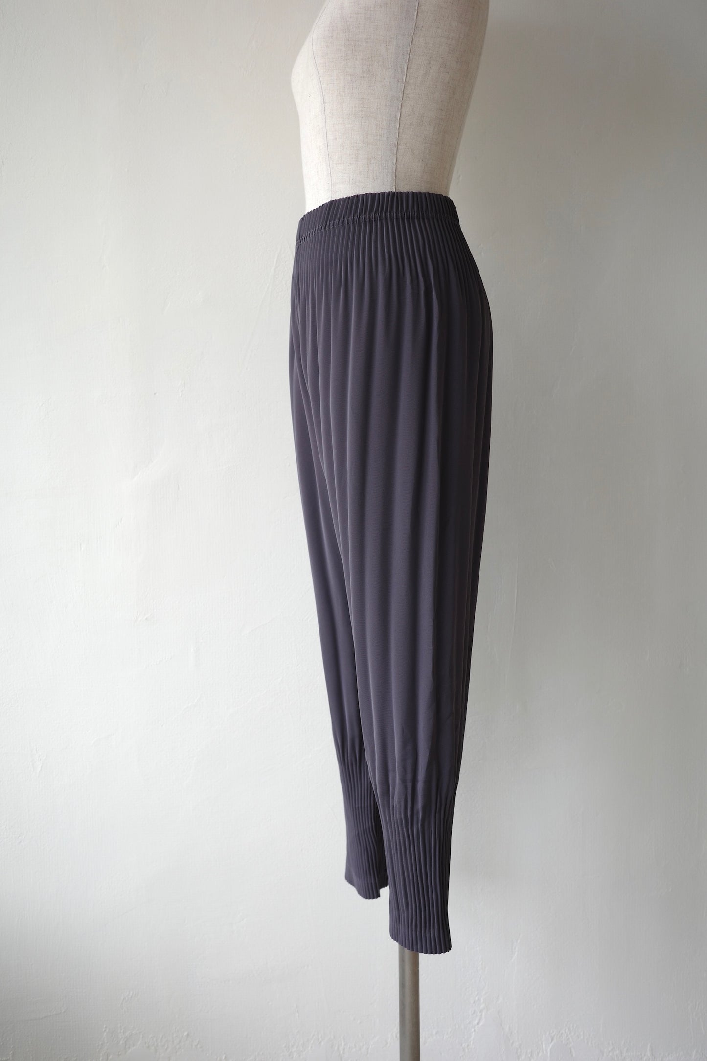 Pleated Tapered Pants
